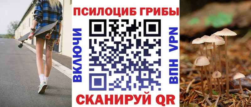 мориарти официальный сайт  Монино  Псилоцибиновые грибы мухоморы 